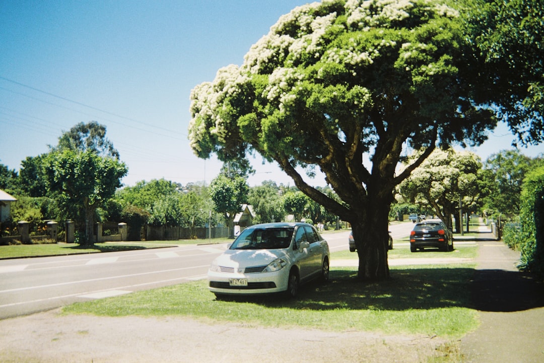 Road trip in Australia